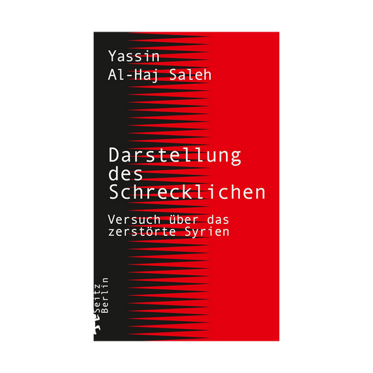 Darstellung des Schrecklichen: Versuch über das zerstörte Syrien