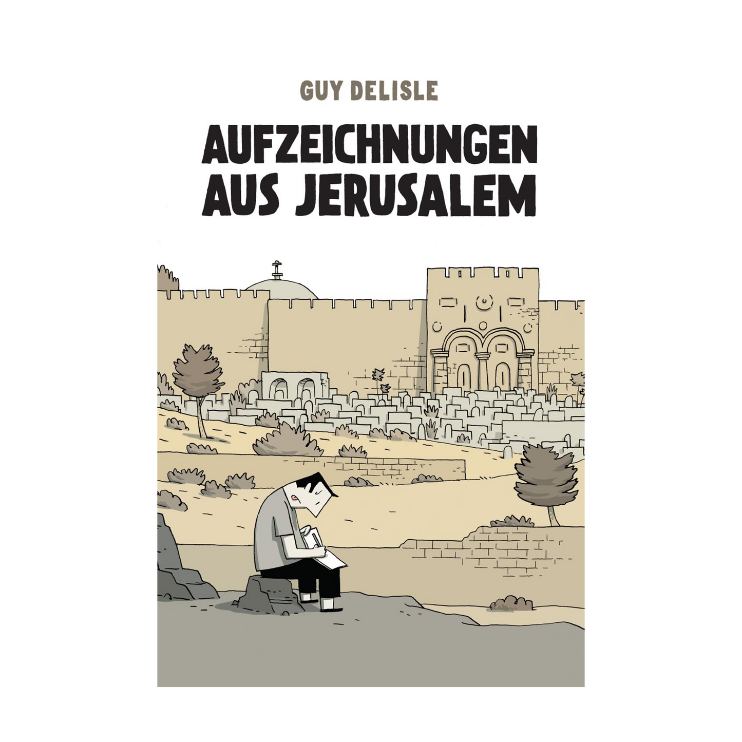 Aufzeichnungen aus Jerusalem: Comic