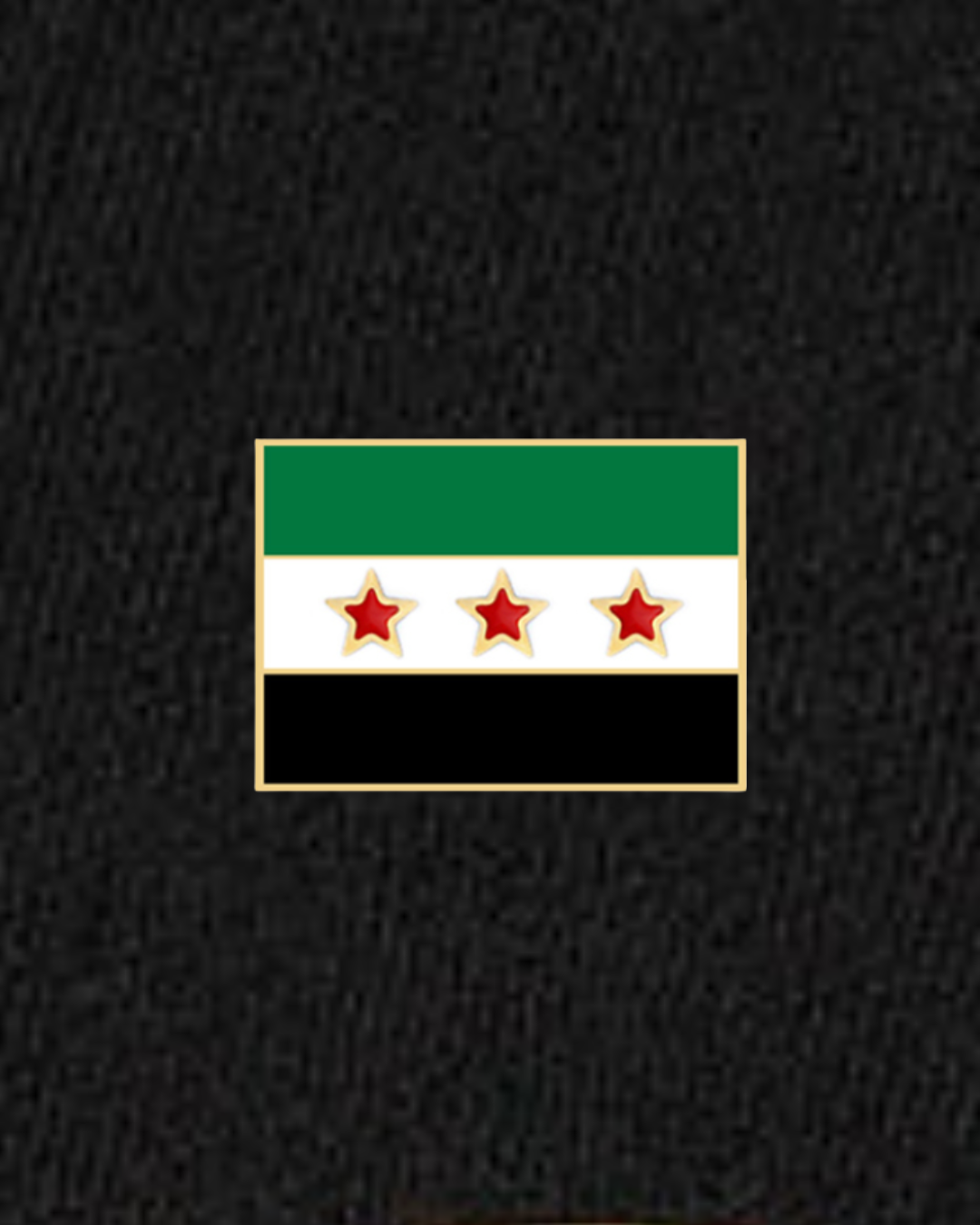 Syrien Flagge Pin