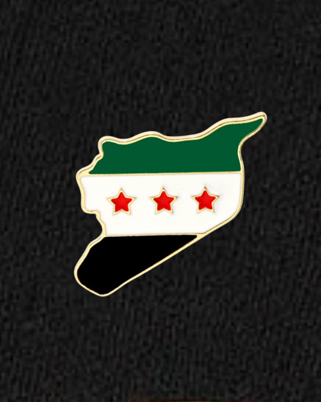 Syrien Karte Pin
